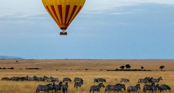 <p> The African savannah - Your Ultimate itinerary for  Kenya safari</p>
